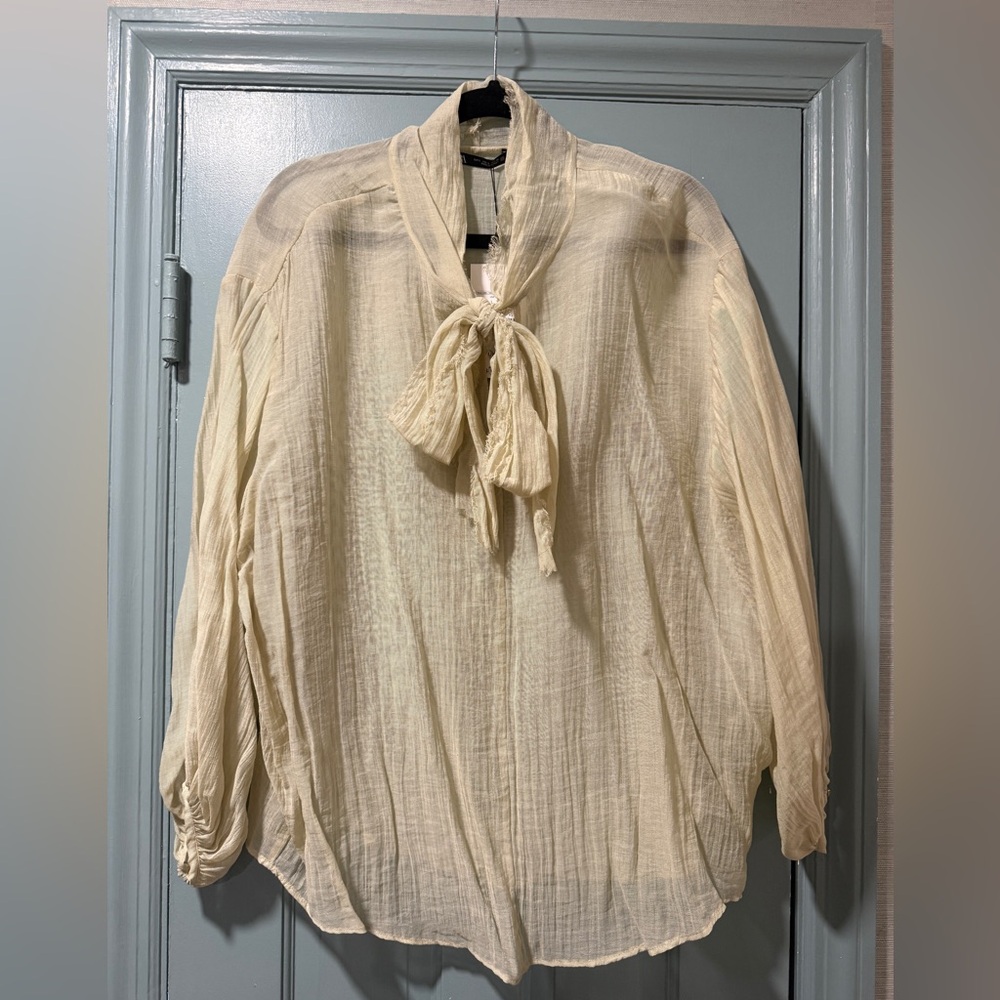 NWT Zara sheer bow blouse